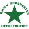 RKSV格罗内logo